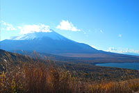 裏道の富士山